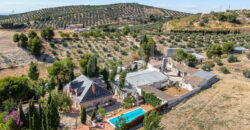 Finca ecuestre con vivienda y piscina a la venta en Jaén Finca ecuestre con vivienda y piscina a la venta en Jaén