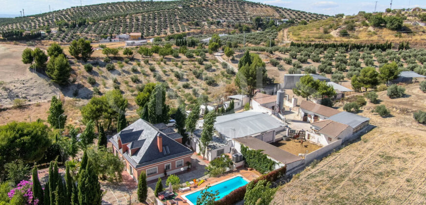 Finca ecuestre con vivienda y piscina a la venta en Jaén
