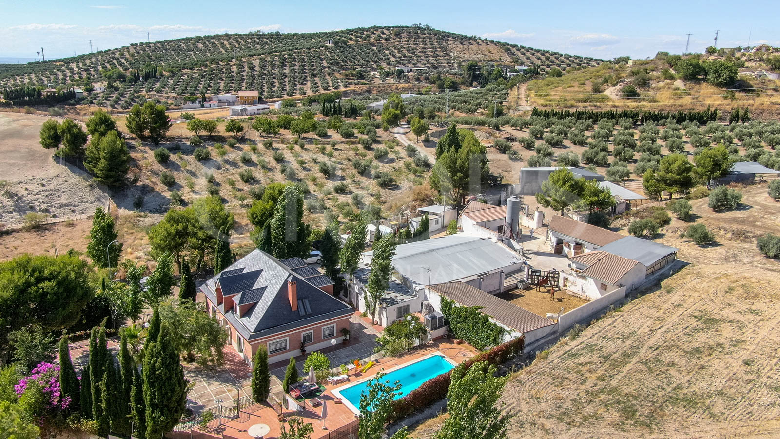 Finca ecuestre con vivienda y piscina a la venta en Jaén