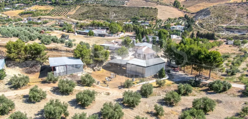 Finca ecuestre con vivienda y piscina a la venta en Jaén