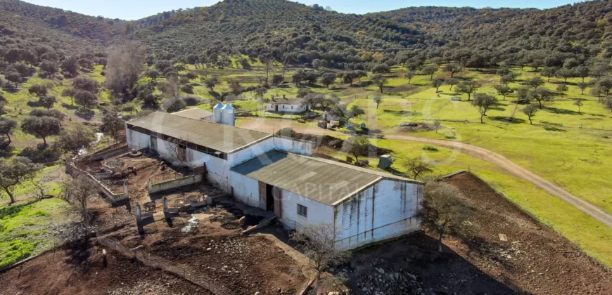 Finca agrícola y ganadera en la provincia de Córdoba