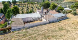 Finca ecuestre con vivienda y piscina a la venta en Jaén