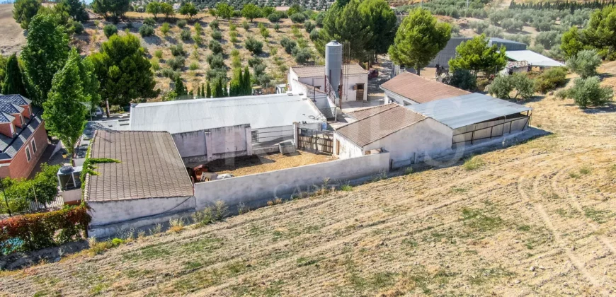 Finca ecuestre con vivienda y piscina a la venta en Jaén