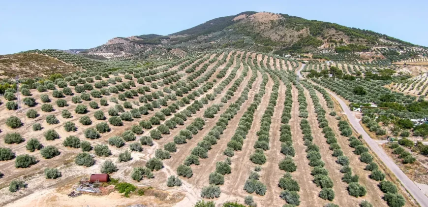 Finca ecuestre con vivienda y piscina a la venta en Jaén