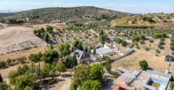 Finca ecuestre con vivienda y piscina a la venta en Jaén