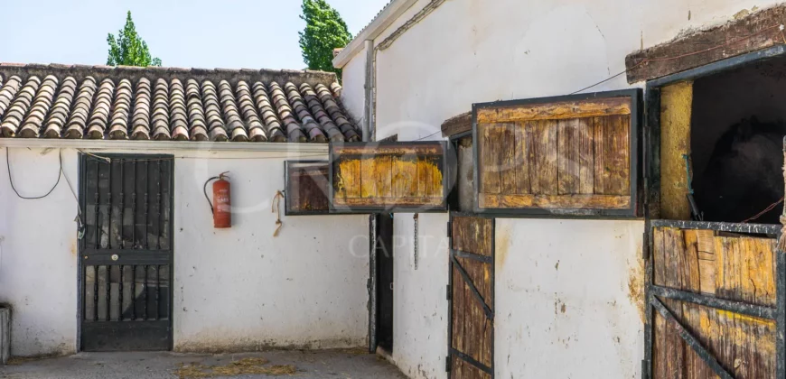 Finca ecuestre con vivienda y piscina a la venta en Jaén