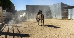 Finca ecuestre con vivienda y piscina a la venta en Jaén