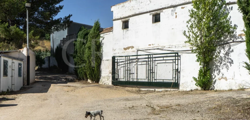 Finca ecuestre con vivienda y piscina a la venta en Jaén