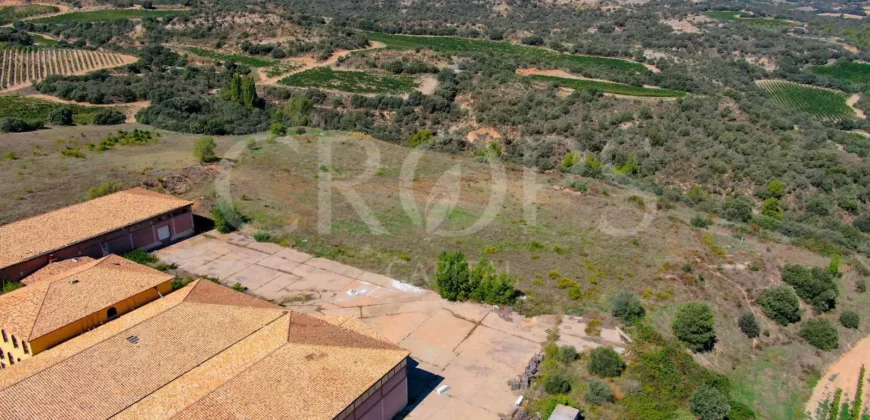 Venta de bodega en la comarca de Somontano