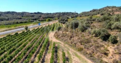 Venta de bodega en la comarca de Somontano