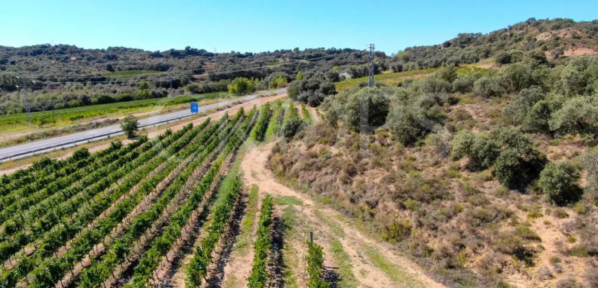 Venta de bodega en la comarca de Somontano