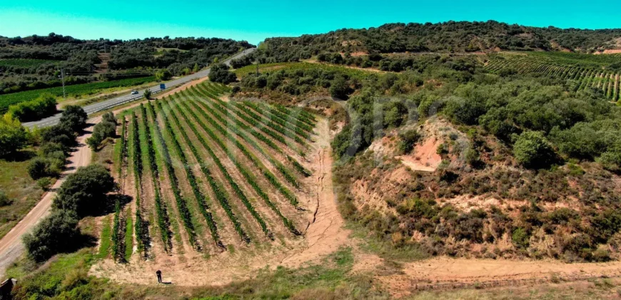 Venta de bodega en la comarca de Somontano