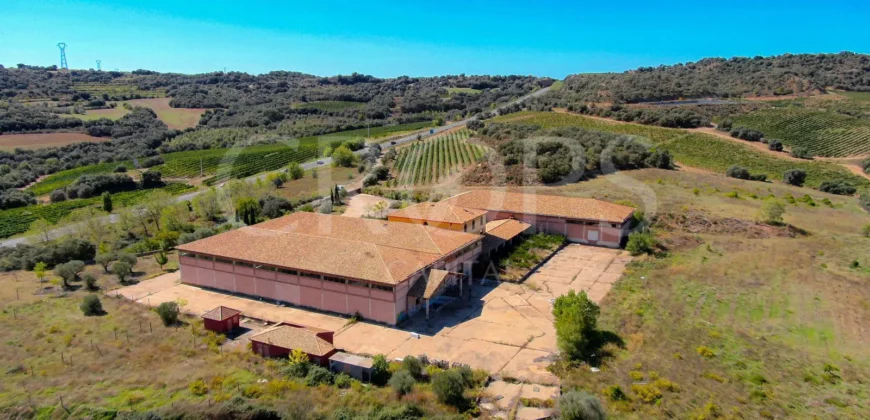 Venta de bodega en la comarca de Somontano