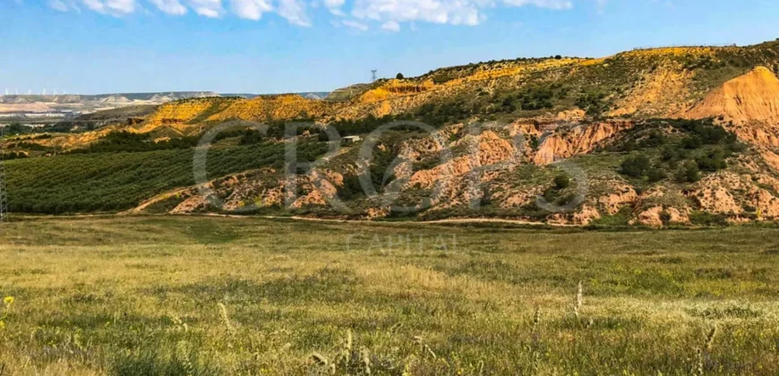 Finca de recreo con distintos aprovechamientos a 30 minutos de Zaragoza