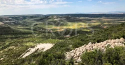 Finca de recreo con distintos aprovechamientos a 30 minutos de Zaragoza