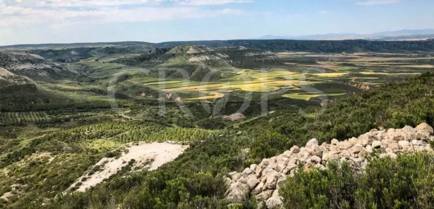 Finca de recreo con distintos aprovechamientos a 30 minutos de Zaragoza