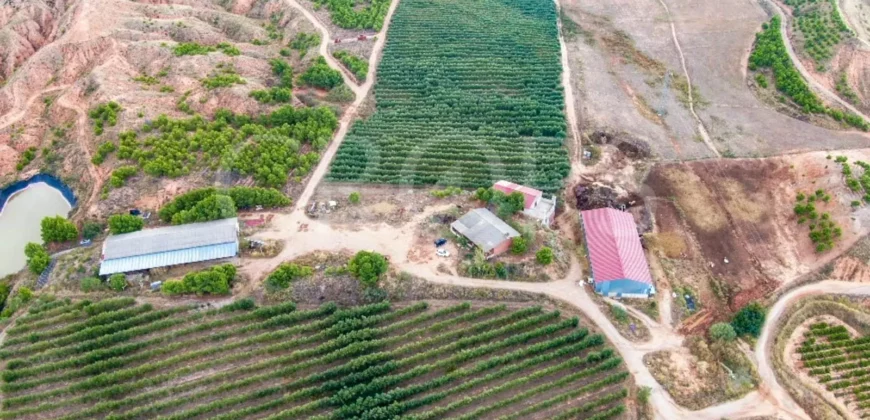 Finca de recreo con distintos aprovechamientos a 30 minutos de Zaragoza