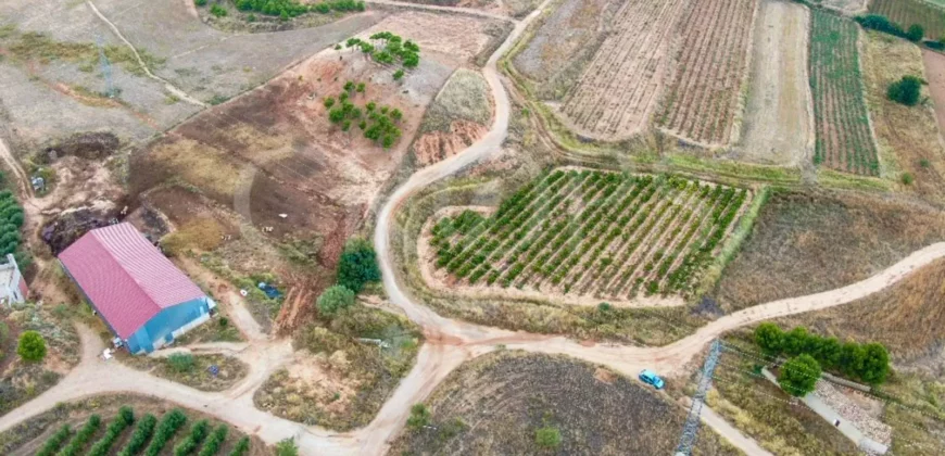 Finca de recreo con distintos aprovechamientos a 30 minutos de Zaragoza