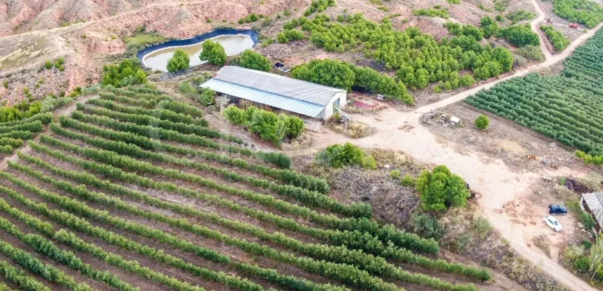 Finca de recreo con distintos aprovechamientos a 30 minutos de Zaragoza