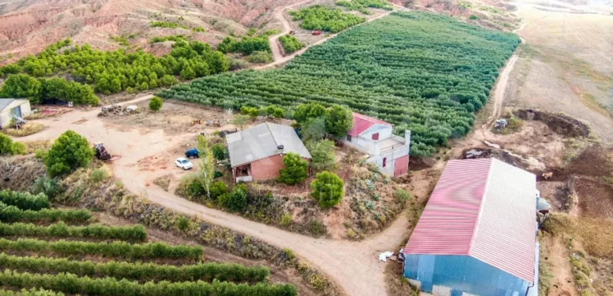 Finca de recreo con distintos aprovechamientos a 30 minutos de Zaragoza