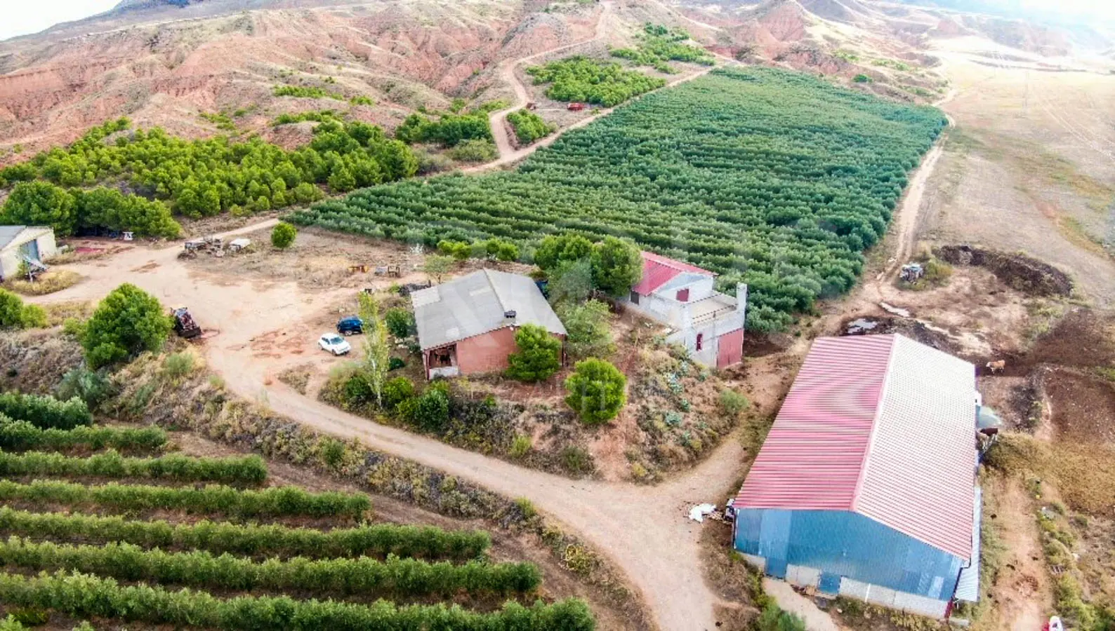 Finca de recreo con distintos aprovechamientos a 30 minutos de Zaragoza