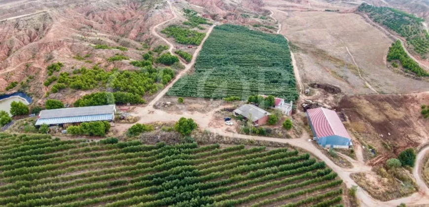 Finca de recreo con distintos aprovechamientos a 30 minutos de Zaragoza