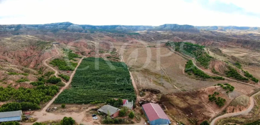 Finca de recreo con distintos aprovechamientos a 30 minutos de Zaragoza