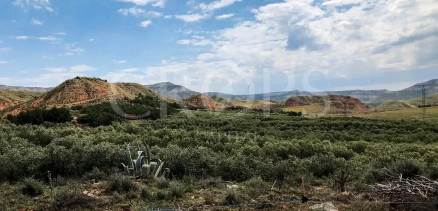 Finca de recreo con distintos aprovechamientos a 30 minutos de Zaragoza