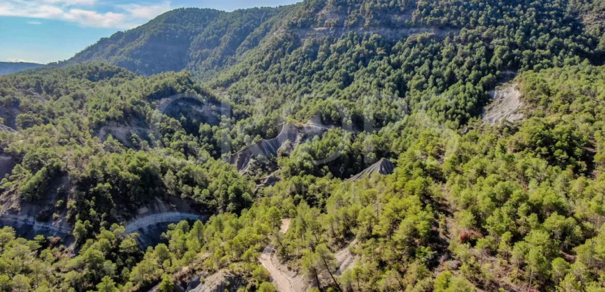 Venta de finca de recreo en el Pirineo Aragonés