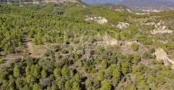 Venta de finca de recreo en el Pirineo Aragonés