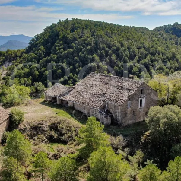 Desde México al Pirineo: Venta de finca en el Pirineo Aragonés