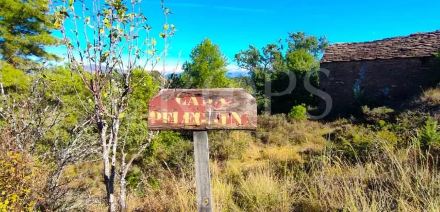 Venta de finca de recreo en el Pirineo Aragonés