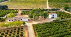 Finca agrícola y ganadera en de Tarragona