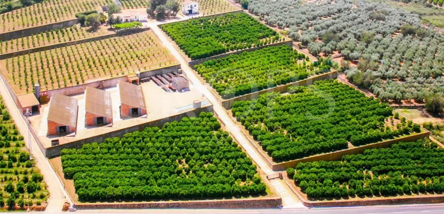Finca agrícola y ganadera en de Tarragona