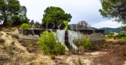 Finca ganadera con olivar en venta en Jaén 