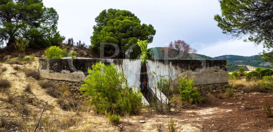 Finca ganadera con olivar en venta en Jaén 