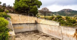 Finca ganadera con olivar en venta en Jaén 