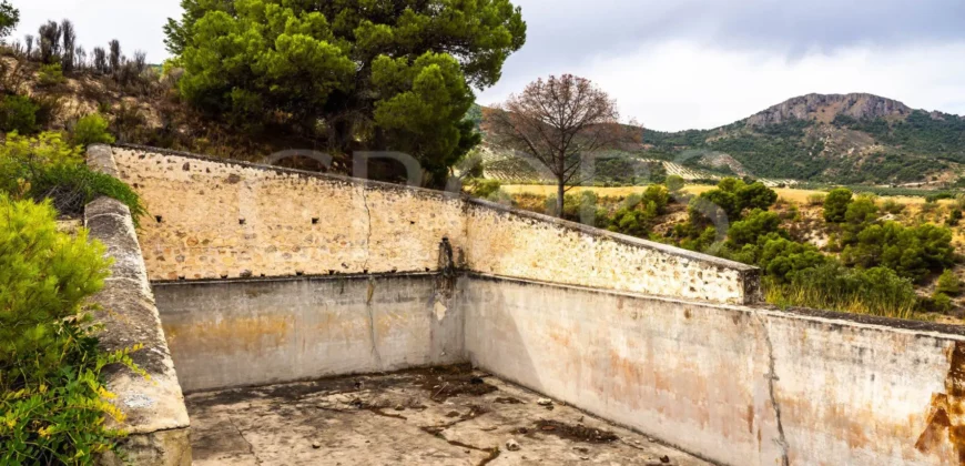 Finca ganadera con olivar en venta en Jaén 