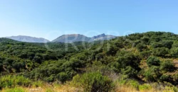 Finca de recreo con cortijo en Granada