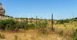 Finca de recreo con cortijo en Granada