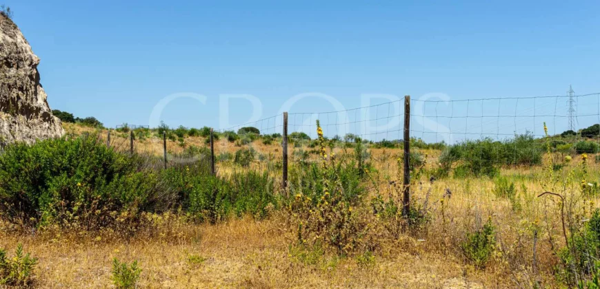 Finca de recreo con cortijo en Granada