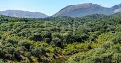 Finca de recreo con cortijo en Granada