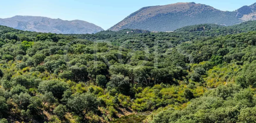 Finca de recreo con cortijo en Granada