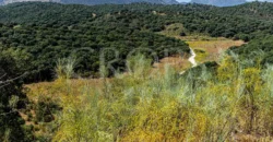 Finca de recreo con cortijo en Granada