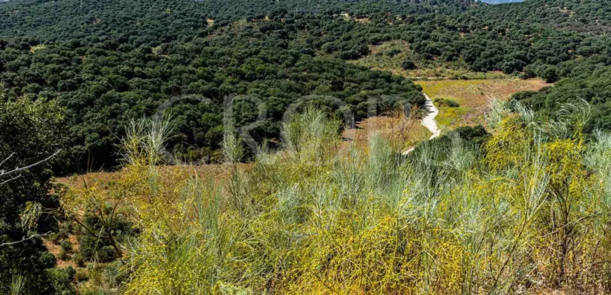 Finca de recreo con cortijo en Granada