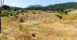 Finca de recreo con cortijo en Granada