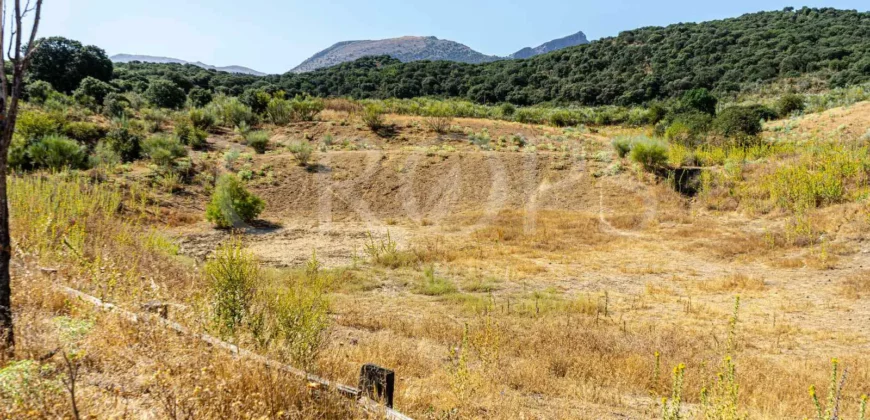 Finca de recreo con cortijo en Granada