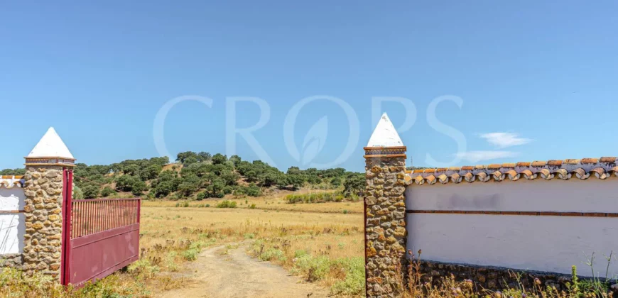 Finca de recreo con cortijo en Granada