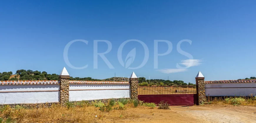 Finca de recreo con cortijo en Granada