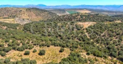 Finca de recreo con cortijo en Granada